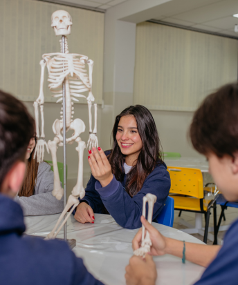 Ensino Médio